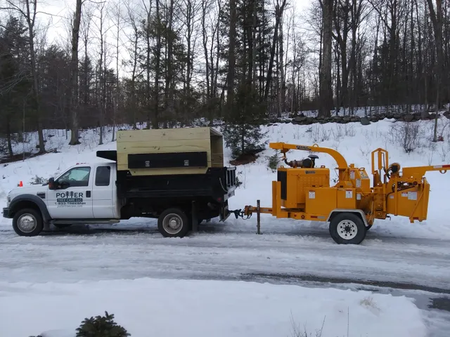 Potter Tree Care LLC work photo