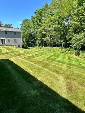 Landscaping