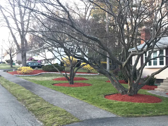 Duarte Landscaping Corp work photo