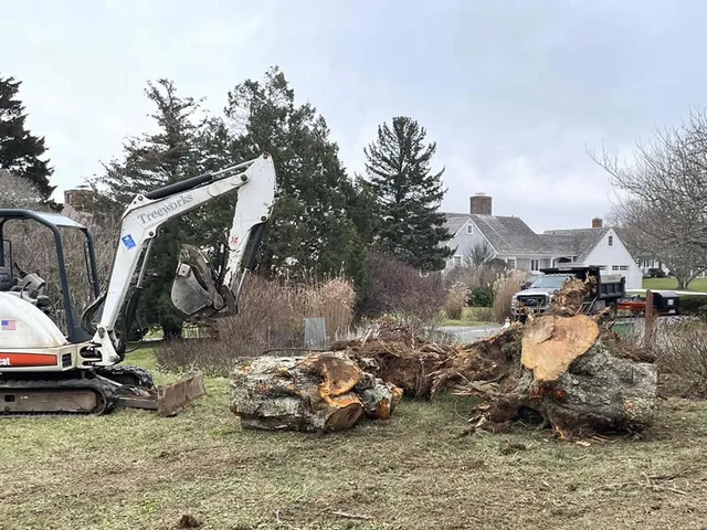 stump-removal-cape-cod