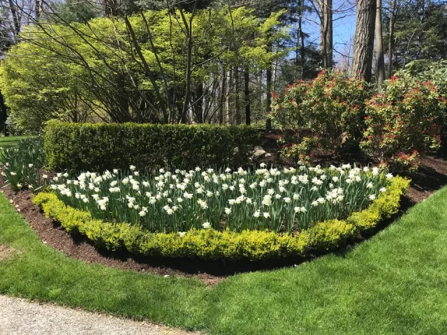 work photo from terragreenlandscaping.com