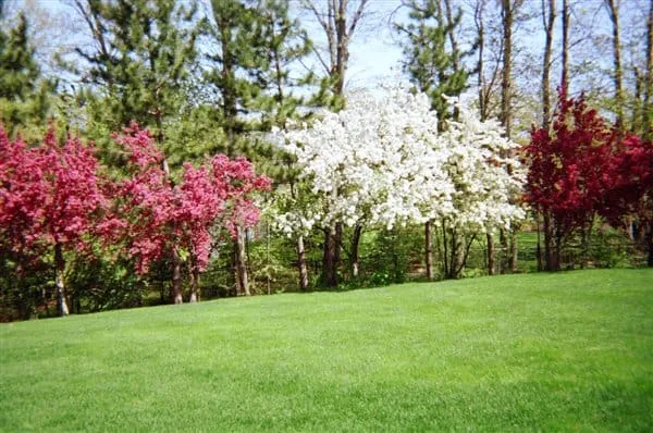 work photo from arbor-turf.com