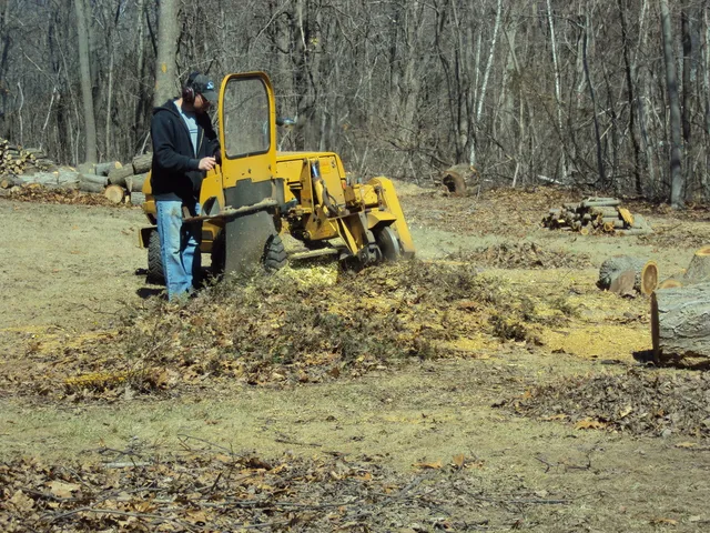 Brett's Stump Grinding work photo