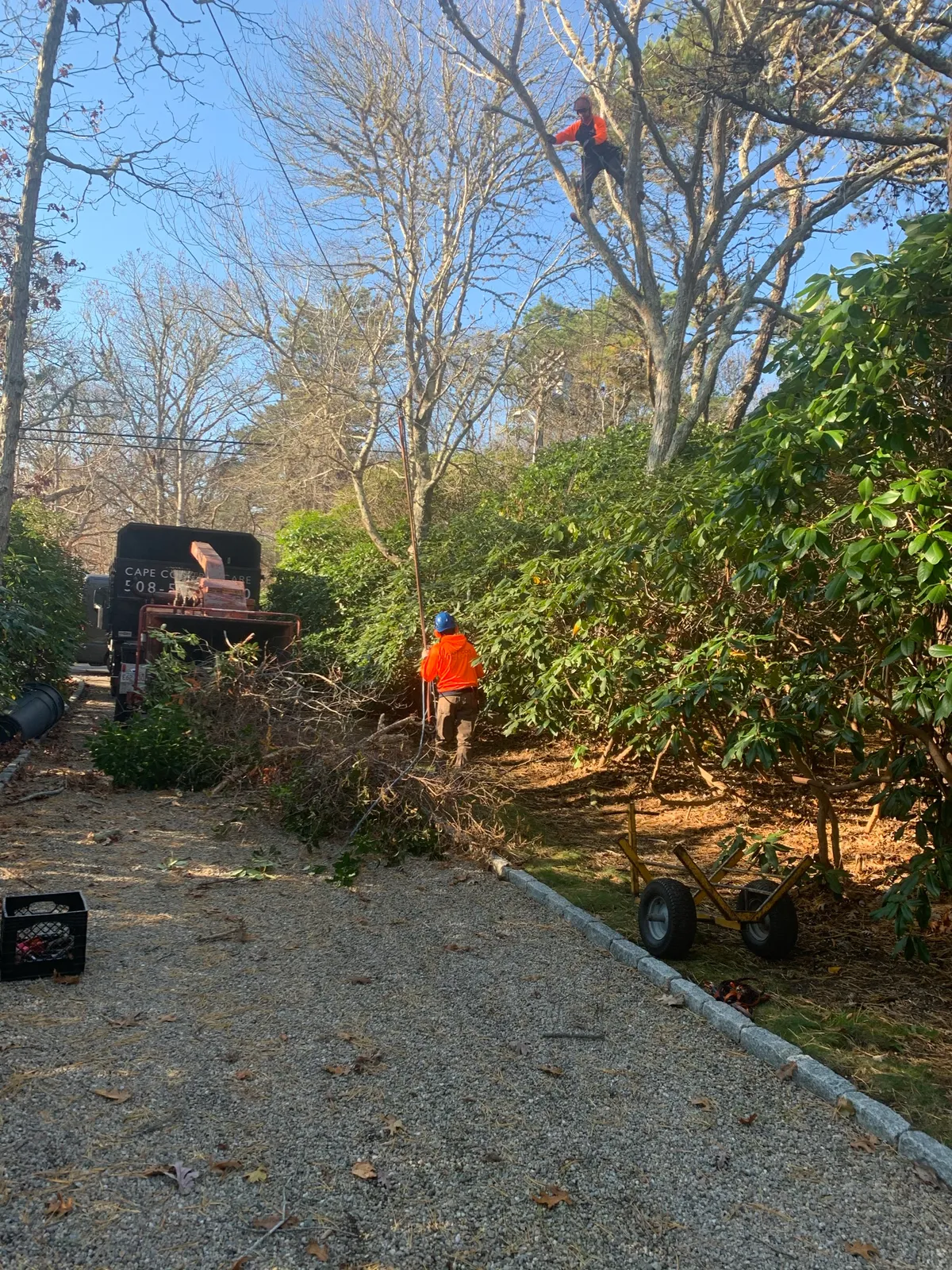 work photo from Google listing
