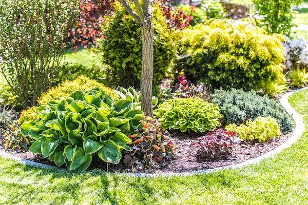 Landscape Plant Designing in Westborough, MA