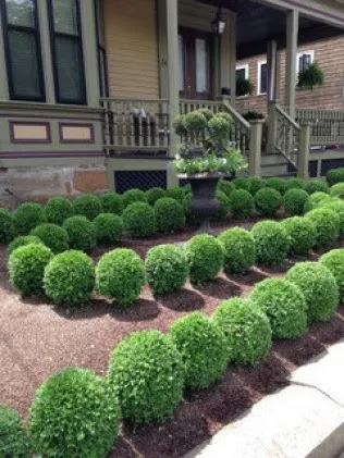 Currier Landscaping Company work photo