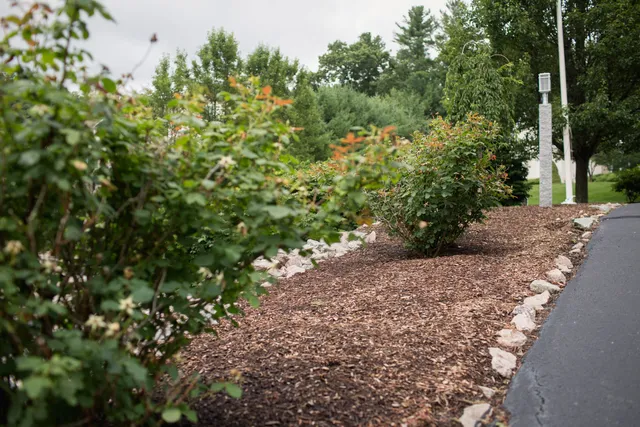 work photo from staplelandscapes.com