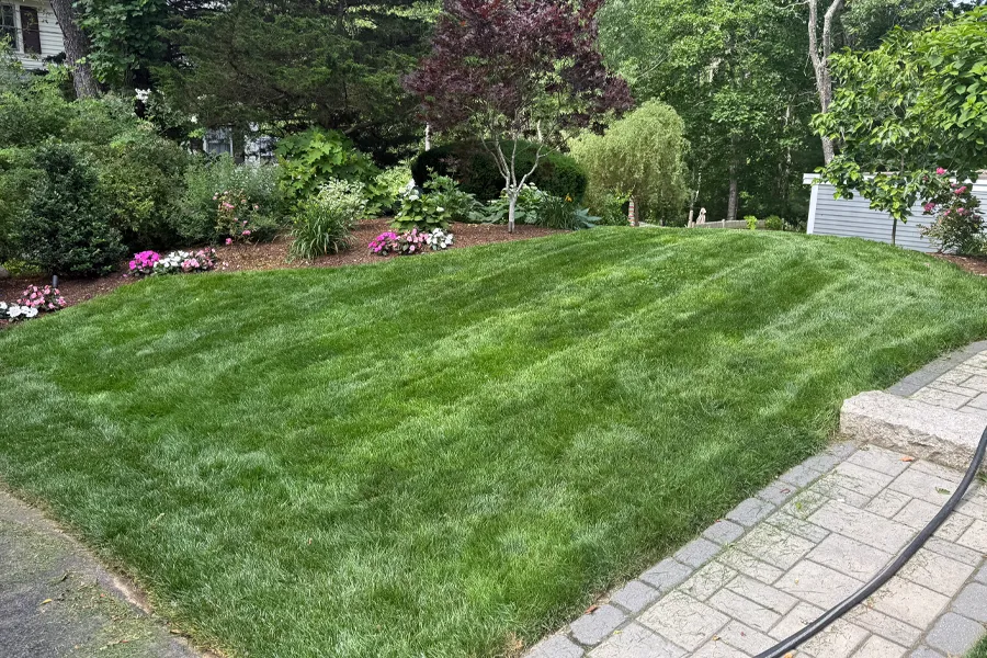 lawn-mowing-milton-ma-12