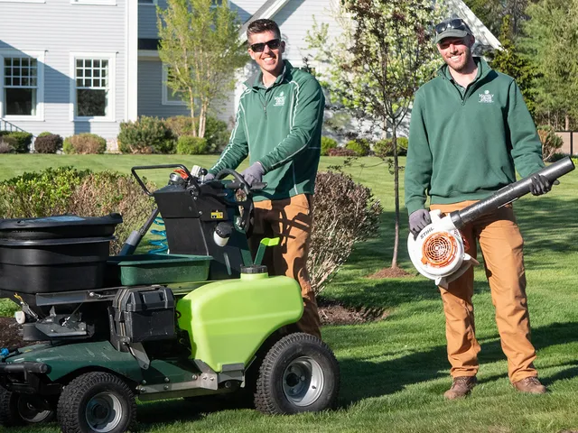 Mainely Grass work photo