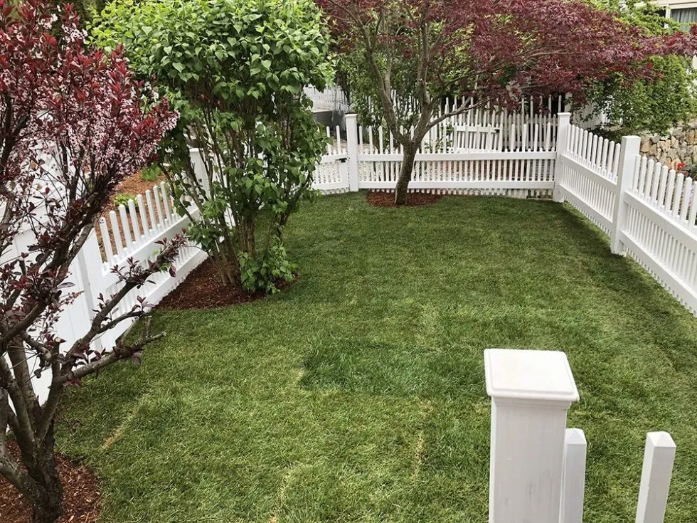 work photo from lawncareplusma.com