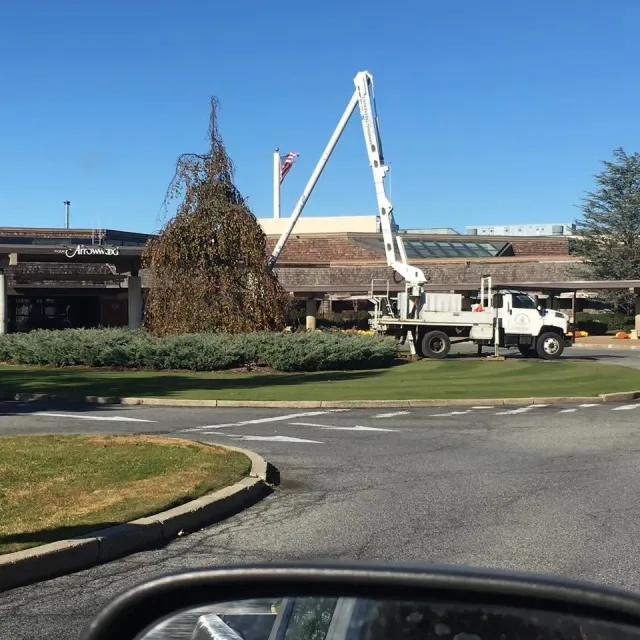 work photo from sandovaltreeservice.com