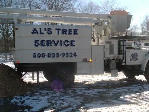 work photo from alstreeservice.com