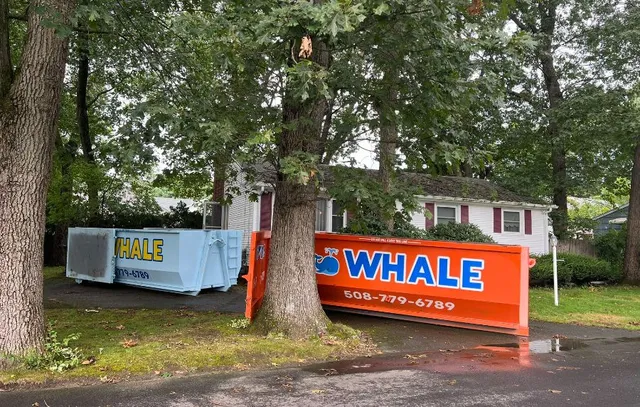 work photo from whaledumpsters.com