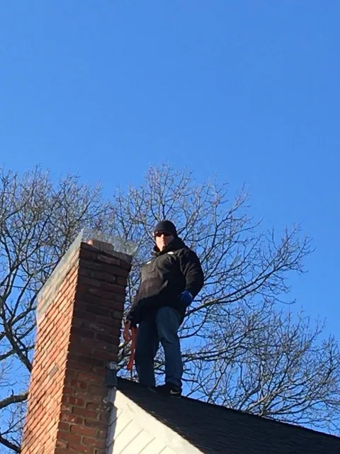Downes Pest & Wildlife work photo