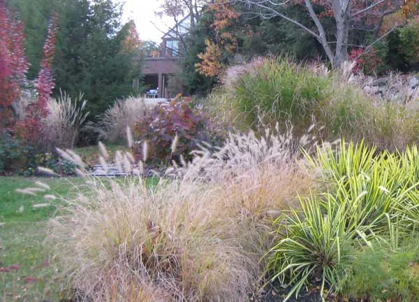 work photo from lattanziolandscapes.com