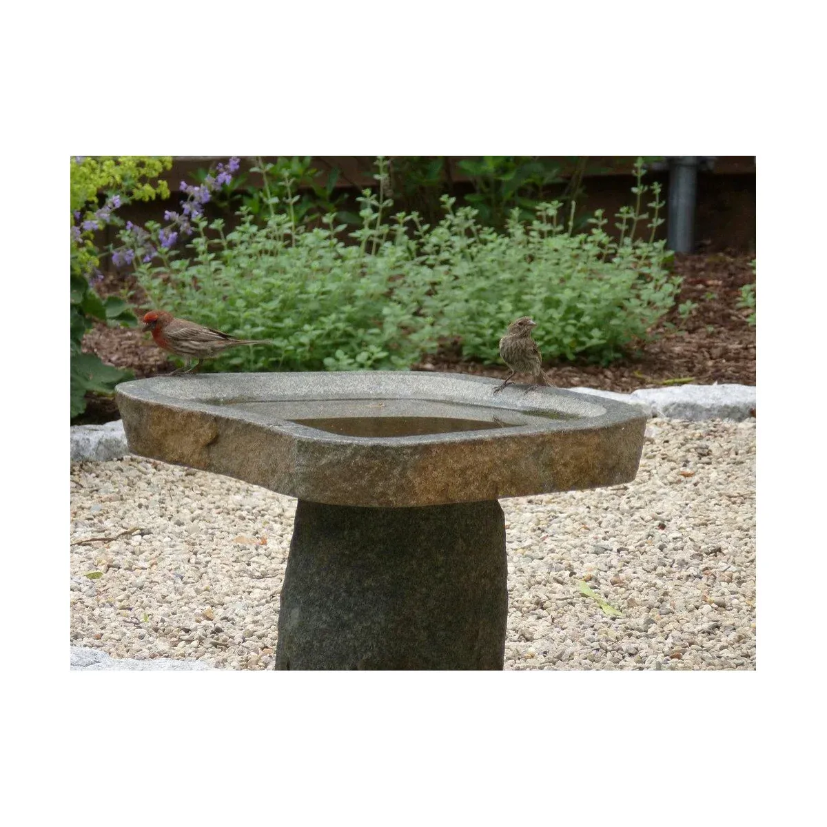 Statons Landscaping, Inc. researched project photo