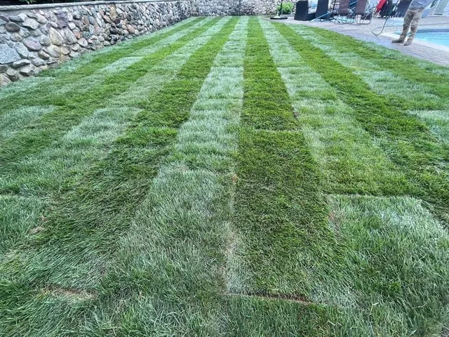 Ortiz Rodas Landscaping and Construction inc