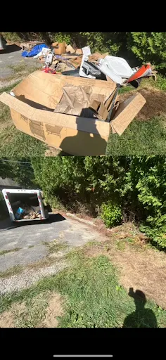 Review photo by Carol Baskin