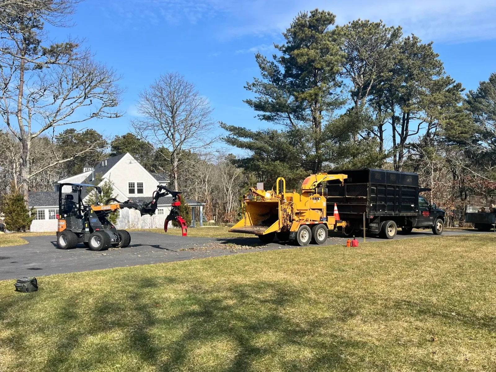 Cape Cod tree services, tree care Cape Cod, tree maintenance Cape Cod, tree removal and trimming Cape Cod, stump grinding Cape Cod, brush mowing Cape Cod, storm clean up Cape Cod, professional tree services Cape Cod, expert tree care Cape Cod, afford
