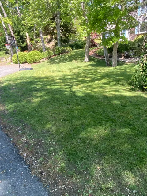 Mow Bros work photo