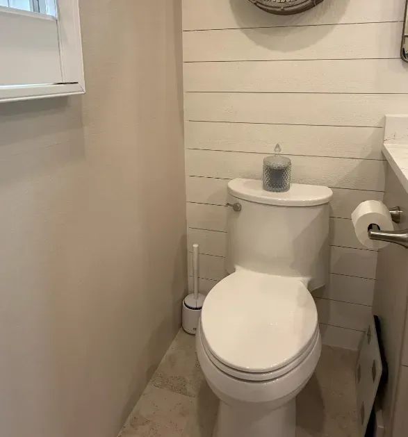 Small bathroom with a white toilet against a shiplap wall, toilet brush beside it and a roll holder on the right.