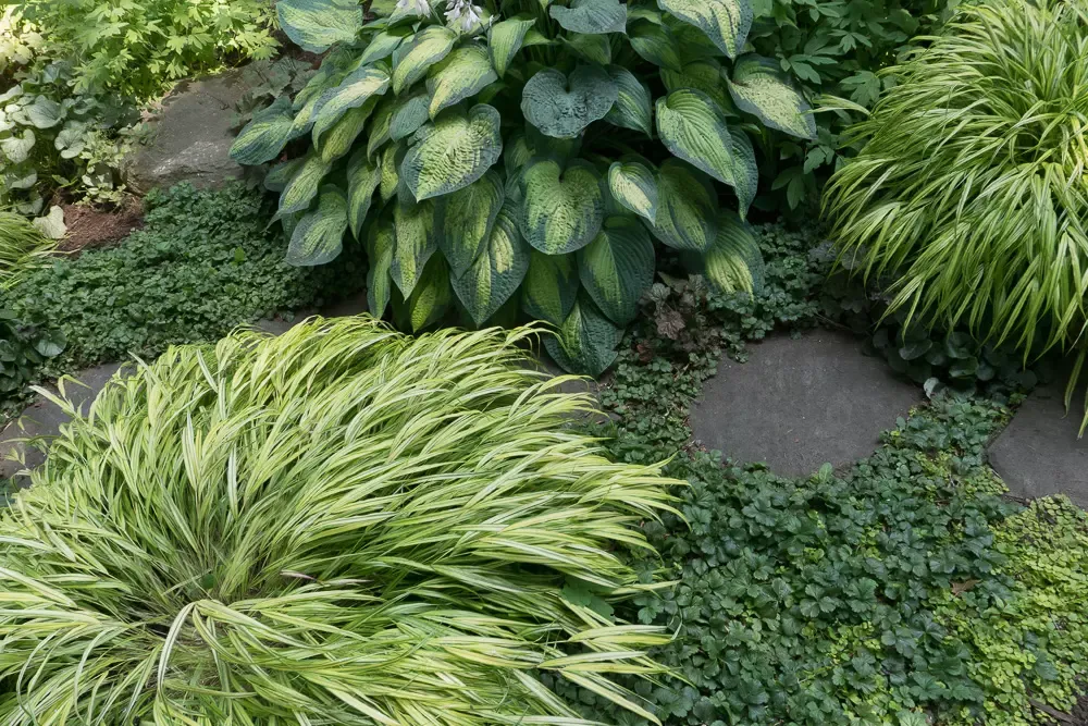 work photo from terrascapeslandscapedesign.com