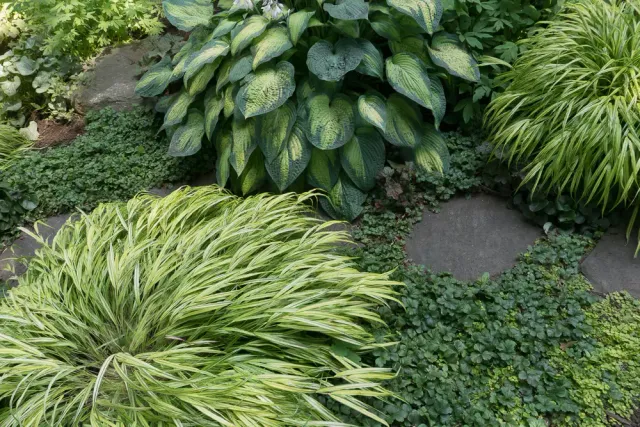work photo from terrascapeslandscapedesign.com