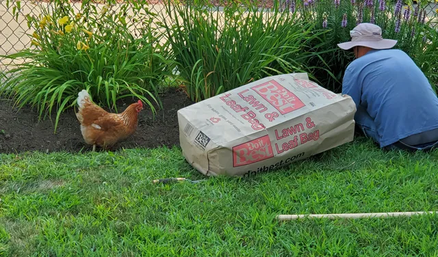 work photo from dracutlandscaping.com