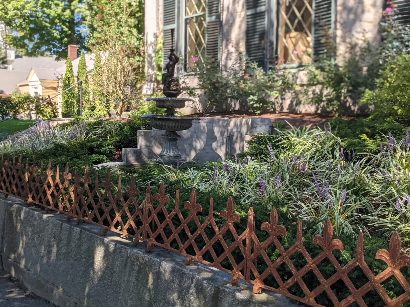 front yard.jpg