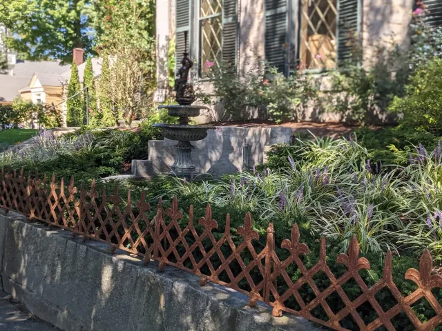 front yard.jpg