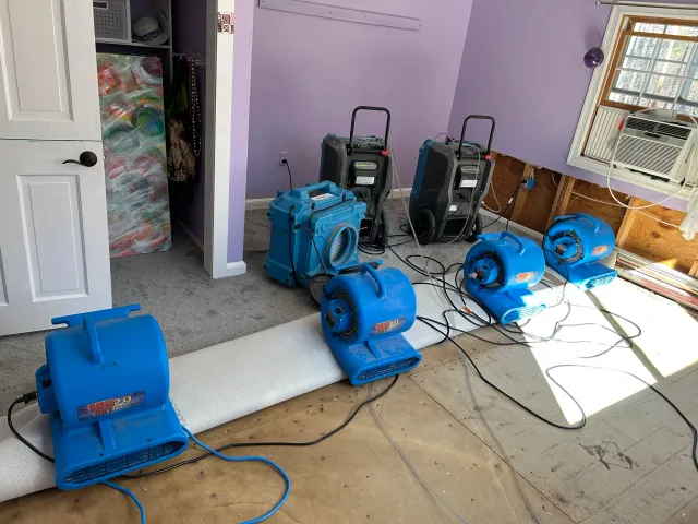 A room with purple walls, partially removed flooring, and five blue industrial fans blowing air over a rolled-up carpet. There are two large black dehumidifiers in the background, an air conditioning unit in a window, and some visible wiring.