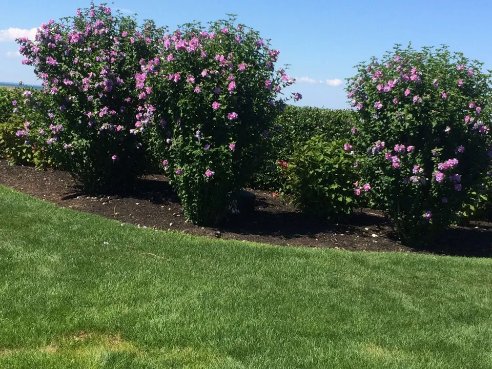 work photo from millersprolandscape.com