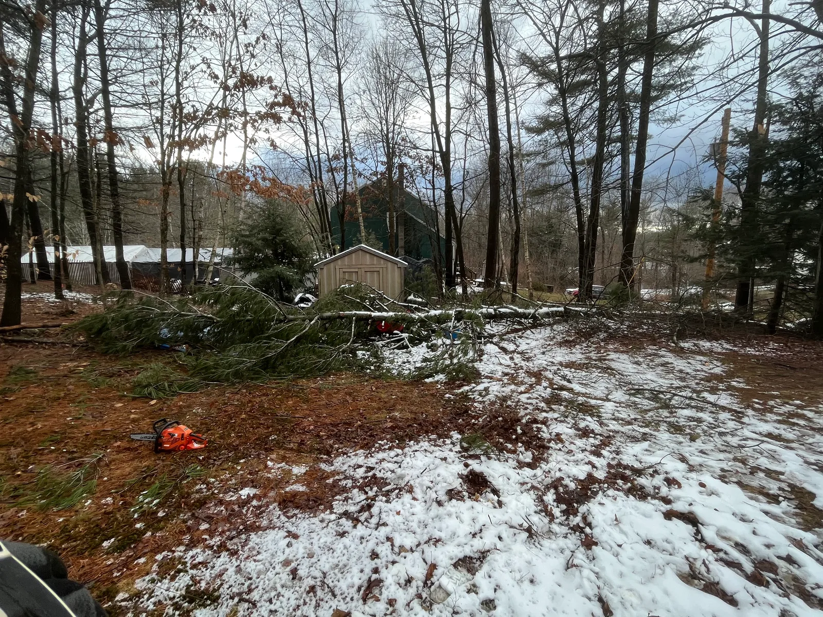work photo from Google listing