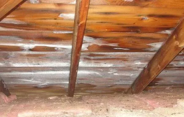 work photo from matfirenovations.com