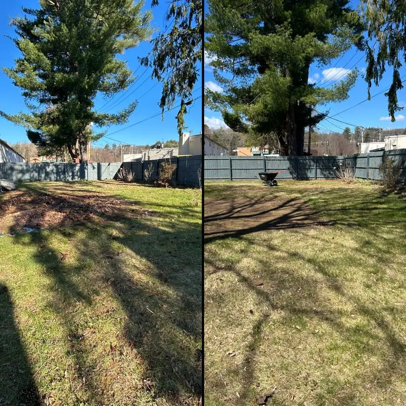 Fall/Spring Cleanups