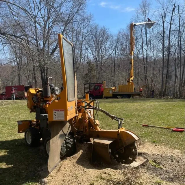 work photo from emltreeservices.com