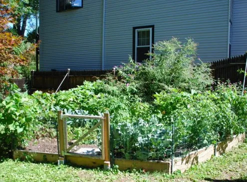 Seth Berman Gardeners researched project photo