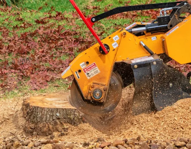 work photo from superiorstumpgrinding.com