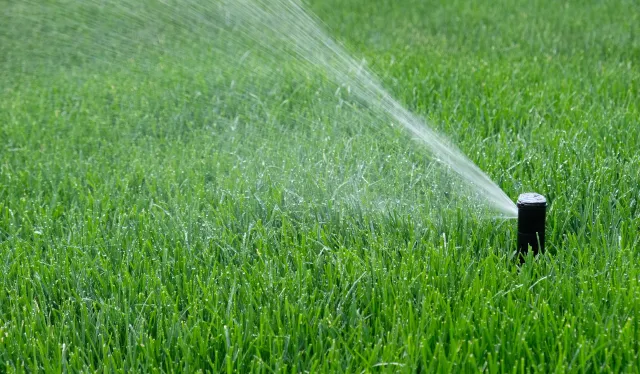 Sprinkler watering a lush, green lawn.