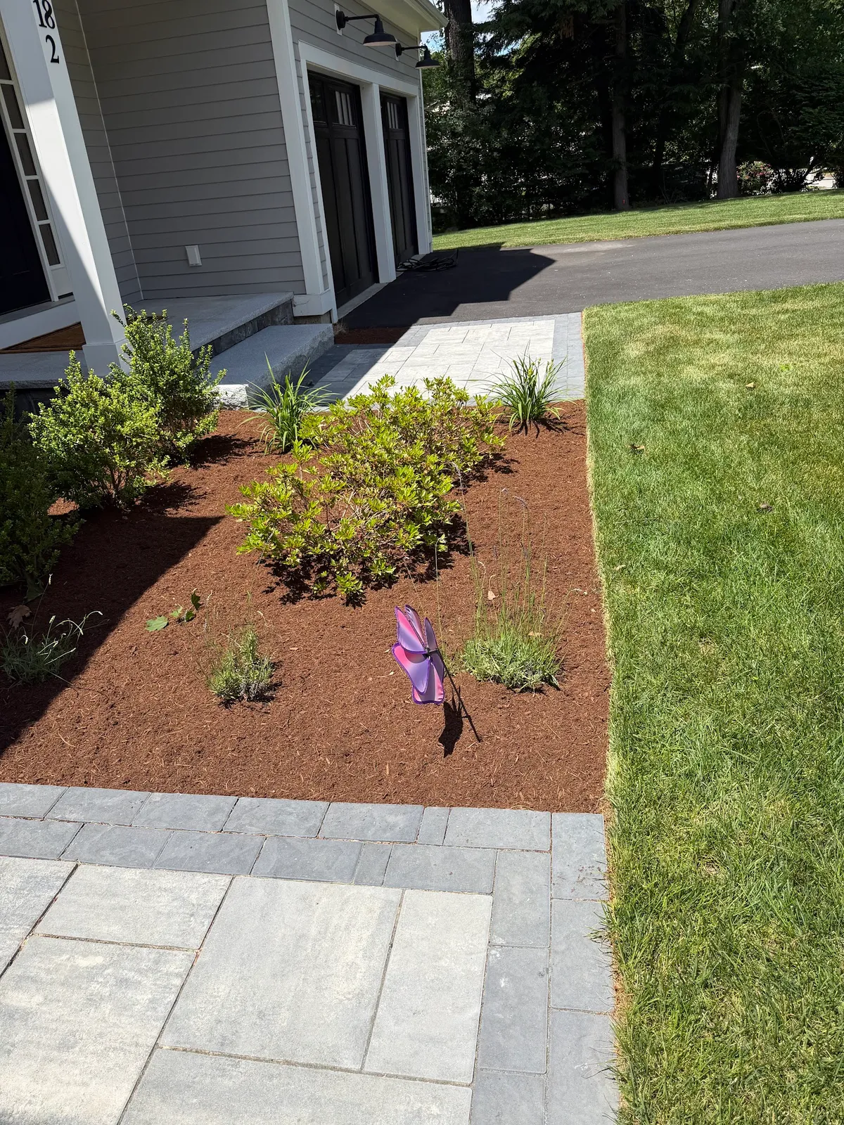 Vasquez Landscaping Services