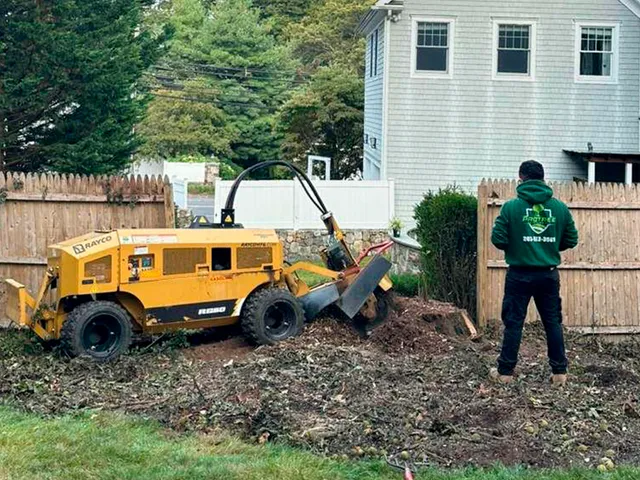 work photo from protreesolutionsllc.com