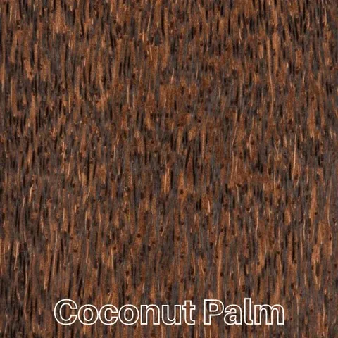 Coconut Palm
