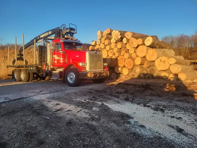 work photo from arbortechct.com