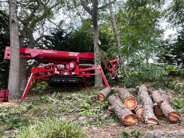 A red aerial lift machine working among trees, with cut tree logs on the ground and felled branches.