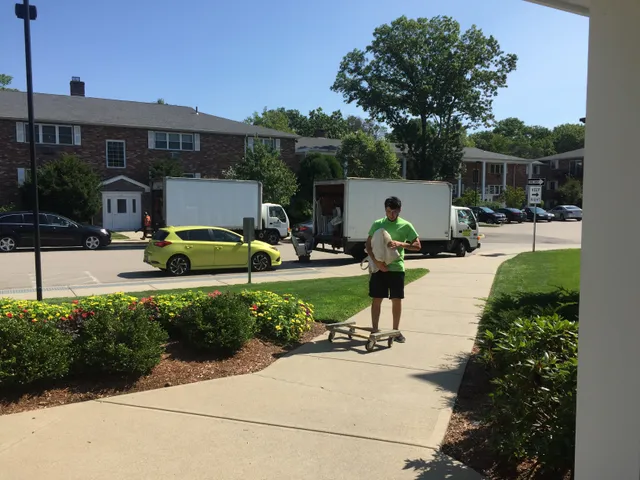 Massmoving work photo