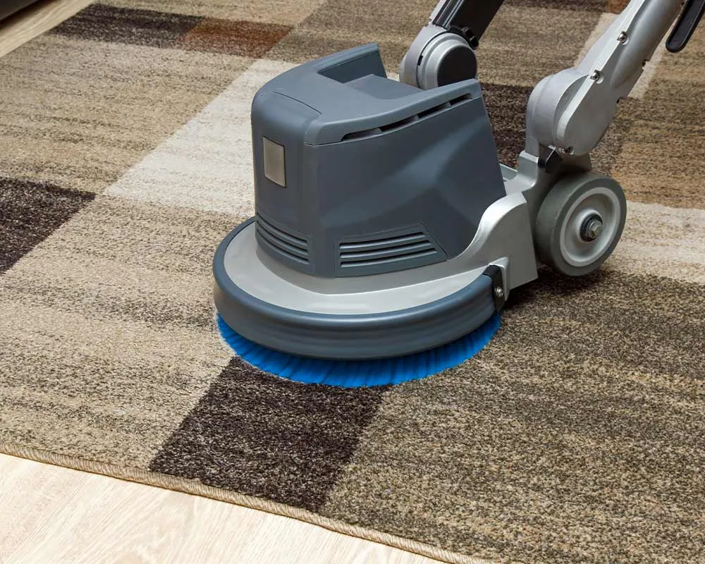 area rug being deep cleaned taunton ma