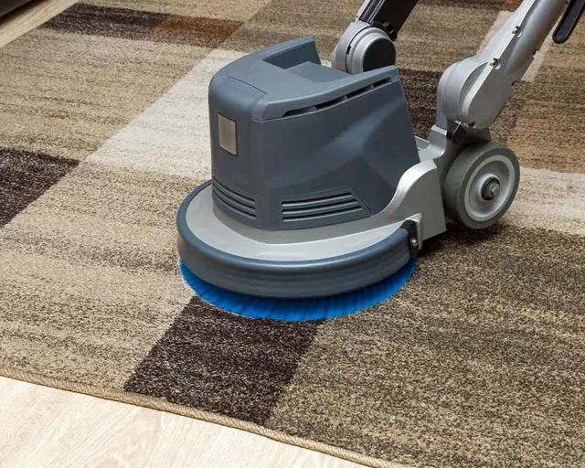 area rug being deep cleaned taunton ma