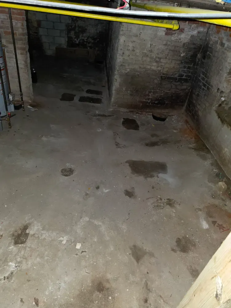 The same brick basement cleared after the cleanout