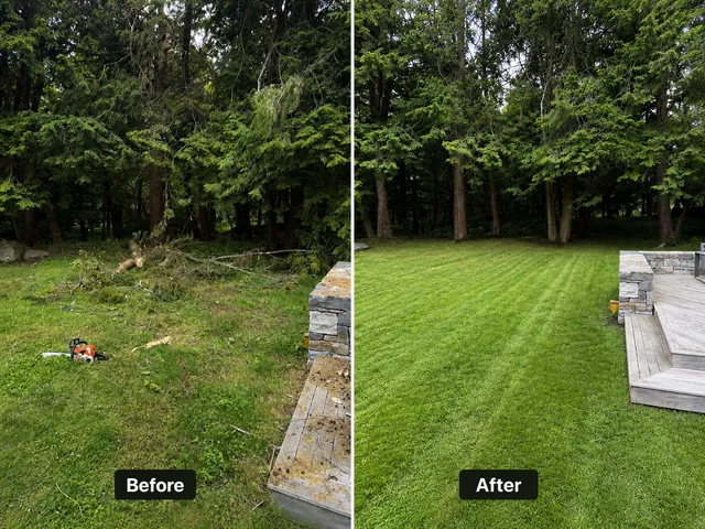 Vasquez Landscaping Services