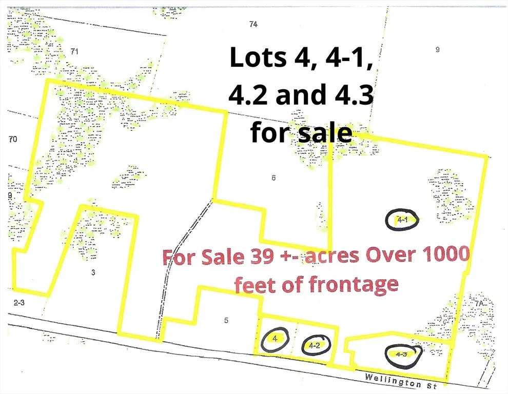 Opportunity abounds with this parcel of land. Four individual lots being sold as one parcel. Possible creation of a family compound, or subdivision with the front lots available to help finance the road construction.